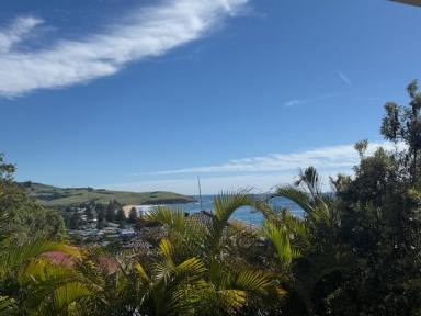 Apartment For Lease - NSW - Gerringong - 2534 - Ocean Views (Image 2)