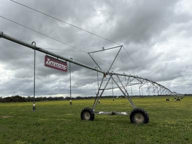 Mixed Farming Auction - SA - Mundulla West - 5270 - Genuine Mundulla Farming / Irrigation Property  (Image 2)