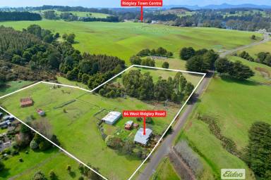 House For Sale - TAS - Ridgley - 7321 - Lifestyle Living Just Outside Ridgley  (Image 2)