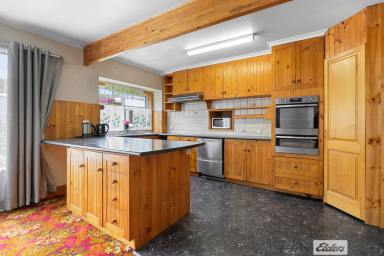 House For Sale - TAS - Ridgley - 7321 - Lifestyle Living Just Outside Ridgley  (Image 2)