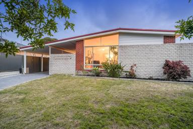 House For Sale - WA - Spearwood - 6163 - Sixties Style in a Parkside Pocket  (Image 2)