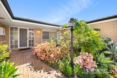 House For Sale - WA - Booragoon - 6154 - SINGLE LEVEL LARGE FAMILY HOME  (Image 2)