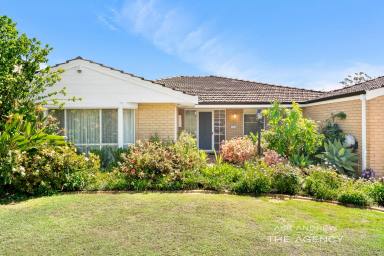 House For Sale - WA - Booragoon - 6154 - SINGLE LEVEL LARGE FAMILY HOME  (Image 2)