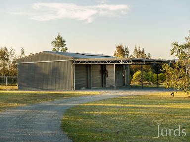 Lifestyle For Sale - NSW - Greta - 2334 - Whitburn Whispers - Hunter Valley Homestead & Farm  (Image 2)