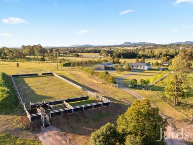 Lifestyle For Sale - NSW - Greta - 2334 - Whitburn Whispers - Hunter Valley Homestead & Farm  (Image 2)