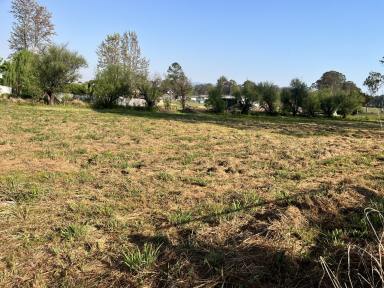 Residential Block For Sale - NSW - Woodenbong - 2476 - LARGE VACANT LAND SO CLOSE TO TOWN  (Image 2)