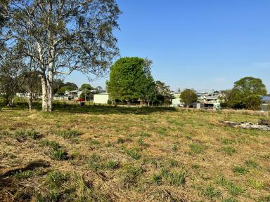 Residential Block For Sale - NSW - Woodenbong - 2476 - LARGE VACANT LAND  (Image 2)