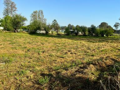 Residential Block For Sale - NSW - Woodenbong - 2476 - LARGE VACANT LAND  (Image 2)