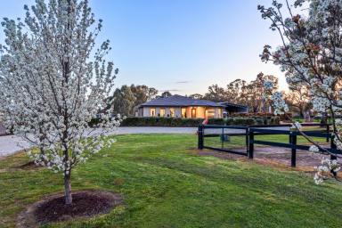 Acreage/Semi-rural For Sale - VIC - Goornong - 3557 - Prestigious Lifestyle Property - Realise Your Equestrian Dream (Image 2)