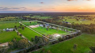 Acreage/Semi-rural For Sale - VIC - Goornong - 3557 - Prestigious Lifestyle Property - Realise Your Equestrian Dream  (Image 2)