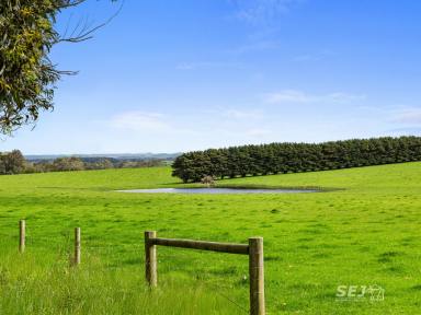 Other (Rural) For Sale - VIC - Buffalo - 3958 - 'Buffalo Pastoral'  (Image 2)