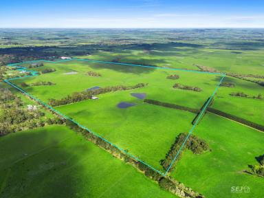 Other (Rural) For Sale - VIC - Buffalo - 3958 - 'Buffalo Pastoral'  (Image 2)
