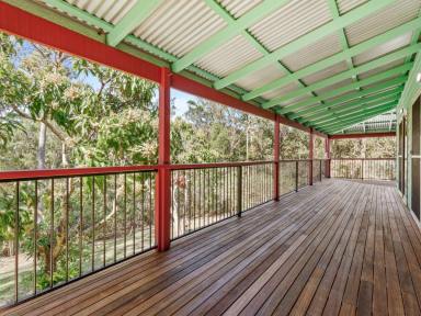 Acreage/Semi-rural For Sale - QLD - Austinville - 4213 - Your Private Rainforest Sanctuary on Over 7 Glorious Acres  (Image 2)