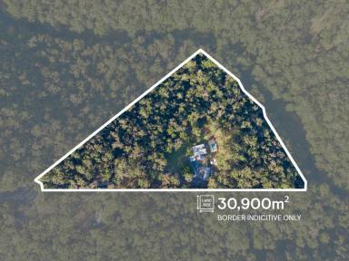 Acreage/Semi-rural For Sale - QLD - Austinville - 4213 - Your Private Rainforest Sanctuary on Over 7 Glorious Acres  (Image 2)