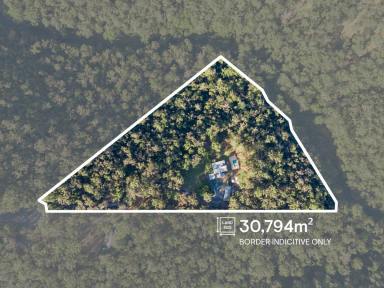 Acreage/Semi-rural For Sale - QLD - Austinville - 4213 - Your Private Rainforest Sanctuary on Over 7 Glorious Acres  (Image 2)
