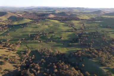 Mixed Farming Auction - NSW - Binalong - 2584 - HIGH RAINFALL GRAZING & WIND INCOME  (Image 2)