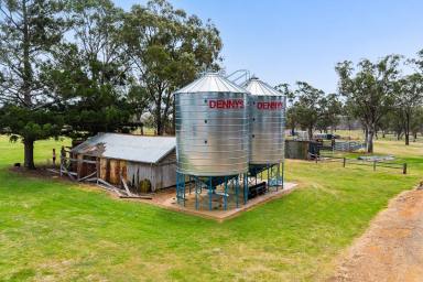Mixed Farming For Sale - QLD - Massie - 4370 - "Collinton North"  (Image 2)
