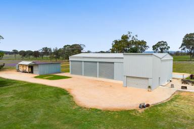 Mixed Farming For Sale - QLD - Massie - 4370 - "Collinton North"  (Image 2)