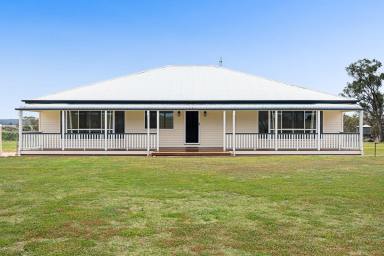 Mixed Farming For Sale - QLD - Massie - 4370 - "Collinton North"  (Image 2)