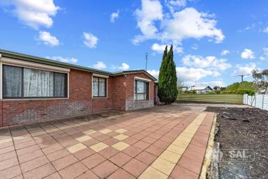 House For Sale - SA - Bordertown - 5268 - Spacious Family Home with Strong Rental Return  (Image 2)