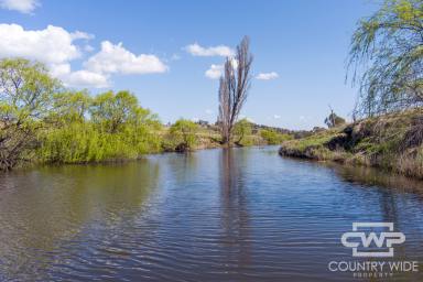 Livestock For Sale - NSW - Shannon Vale - 2370 - 269 Acres Approx. of Productive Granite Country with River Frontage  (Image 2)