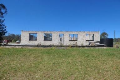 Residential Block For Sale - NSW - Drake Village - 2469 - OPPORTUNITY KNOCKS  (Image 2)