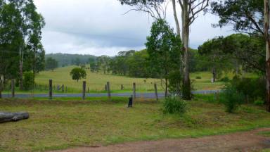 Residential Block For Sale - NSW - Drake Village - 2469 - OPPORTUNITY KNOCKS  (Image 2)