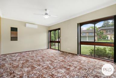 House For Lease - NSW - Lavington - 2641 - SPACIOUS 4 BEDROOM HOME!  (Image 2)