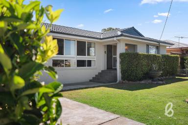 House For Sale - NSW - Singleton - 2330 - Perfectly Presented!!  (Image 2)