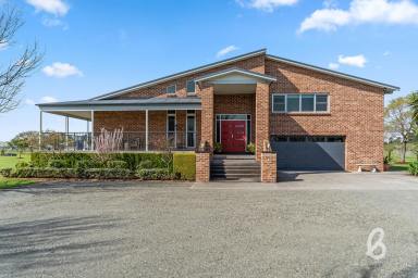 Lifestyle Sold - NSW - Singleton - 2330 - Architecturally Designed Home on approximately 5.75 Acres  (Image 2)