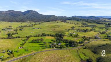 Other (Rural) For Sale - NSW - Glendon Brook - 2330 - "CALEEN" | PRIME IRRIGATION FLATS with WAL  (Image 2)
