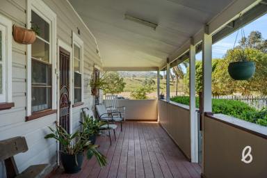 Other (Rural) For Sale - NSW - Glendon Brook - 2330 - "CALEEN" | PRIME IRRIGATION FLATS with WAL  (Image 2)