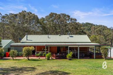 Other (Rural) For Sale - NSW - Lambs Valley - 2335 - "GREENACRES" | DREAM RURAL LIFESTYLE  (Image 2)
