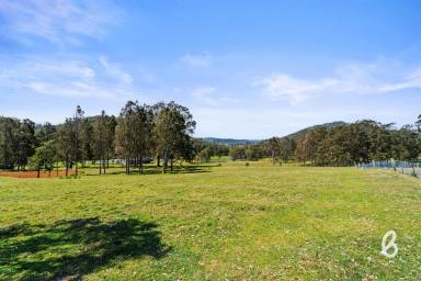 Other (Rural) For Sale - NSW - Lambs Valley - 2335 - "GREENACRES" | DREAM RURAL LIFESTYLE  (Image 2)
