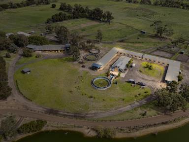 Other (Rural) For Sale - VIC - Cannons Creek - 3977 - Swept By  (Image 2)
