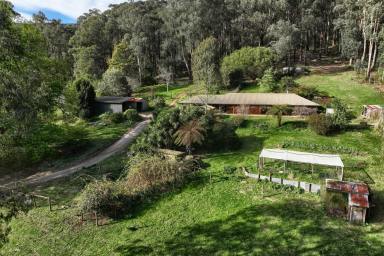 House For Sale - VIC - Three Bridges - 3797 - ESCAPE THE HUSTLE & BUSTLE- 8 ACRES OF PEACE & PRIVACY  (Image 2)