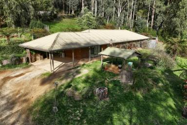 House For Sale - VIC - Three Bridges - 3797 - ESCAPE THE HUSTLE & BUSTLE- 8 ACRES OF PEACE & PRIVACY  (Image 2)