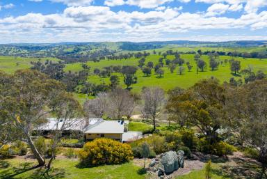 Other (Rural) For Sale - NSW - Crookwell - 2583 - "Cumberoona" - Scale, Productivity and Lifestyle Combined  (Image 2)
