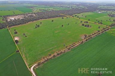 Residential Block For Sale - VIC - McKenzie Creek - 3401 - McKenzie Creek Frontage  (Image 2)