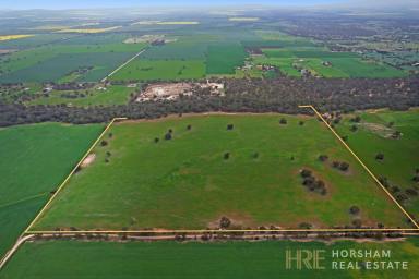 Residential Block For Sale - VIC - McKenzie Creek - 3401 - McKenzie Creek Frontage  (Image 2)
