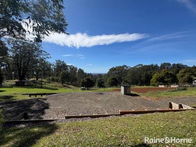 Residential Block For Sale - NSW - Sassafras - 2622 - Blank Canvas Acreage with Beautiful Outlook  (Image 2)