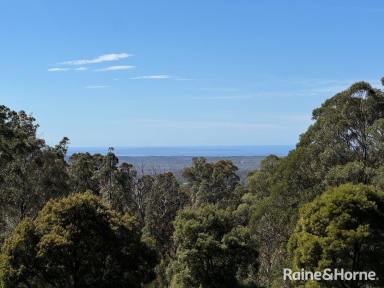 Residential Block For Sale - NSW - Sassafras - 2622 - Blank Canvas Acreage with Beautiful Outlook  (Image 2)