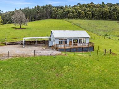 Lifestyle For Sale - TAS - West Ulverstone - 7315 - Country Comfort with Space, Sheds and Serenity  (Image 2)