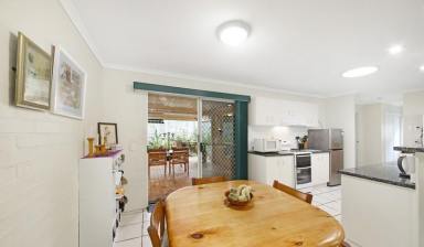 House For Lease - QLD - Cooroy - 4563 - Easy-Care Living in the Heart of Cooroy  (Image 2)