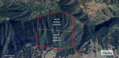 Other (Rural) For Sale - QLD - Thornton - 4341 - 330 Acres of Privacy and Seclusion  (Image 2)