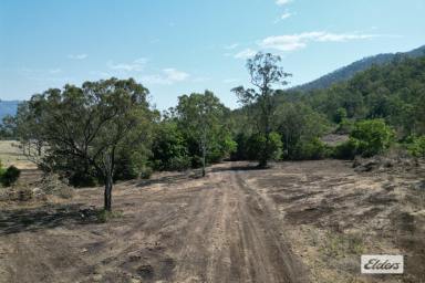 Lifestyle For Sale - QLD - Thornton - 4341 - 330 Acres of Privacy and Seclusion  (Image 2)