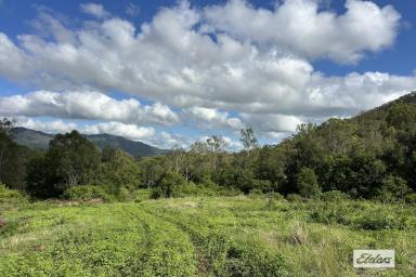 Other (Rural) For Sale - QLD - Thornton - 4341 - 330 Acres of Privacy and Seclusion  (Image 2)