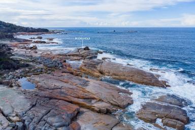 Residential Block For Sale - TAS - Bicheno - 7215 - Sounds Of The Sea  (Image 2)