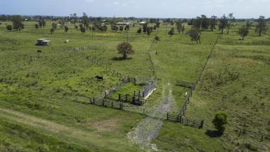 Livestock For Sale - NSW - Calliope - 2462 - PEACEFUL, PRODUCTIVE & READY TO ENJOY – 25 ACRE LIFESTYLE OPPORTUNITY  (Image 2)