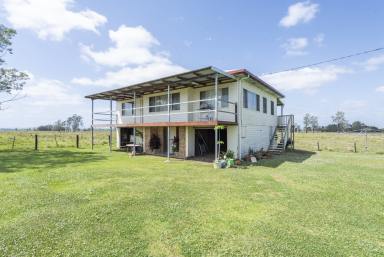Livestock For Sale - NSW - Calliope - 2462 - PEACEFUL, PRODUCTIVE & READY TO ENJOY – 25 ACRE LIFESTYLE OPPORTUNITY  (Image 2)